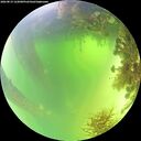 ./images/calvert/underwater/20260819/underwater20260819_122001M.jpg