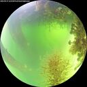 ./images/calvert/underwater/20260819/underwater20260819_122501M.jpg