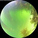 ./images/calvert/underwater/20260819/underwater20260819_123001M.jpg