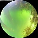 ./images/calvert/underwater/20260819/underwater20260819_123501M.jpg