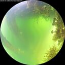 ./images/calvert/underwater/20260819/underwater20260819_124001M.jpg