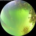 ./images/calvert/underwater/20260819/underwater20260819_124501M.jpg