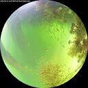 ./images/calvert/underwater/20260819/underwater20260819_125501M.jpg