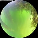 ./images/calvert/underwater/20260819/underwater20260819_130501M.jpg