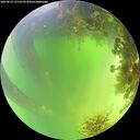 ./images/calvert/underwater/20260819/underwater20260819_131501M.jpg