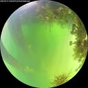 ./images/calvert/underwater/20260819/underwater20260819_132002M.jpg