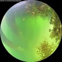 ./images/calvert/underwater/20260819/underwater20260819_132501M.jpg
