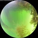./images/calvert/underwater/20260819/underwater20260819_133501M.jpg