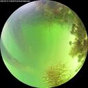 ./images/calvert/underwater/20260819/underwater20260819_134001M.jpg