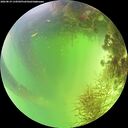 ./images/calvert/underwater/20260819/underwater20260819_134502M.jpg