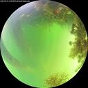./images/calvert/underwater/20260819/underwater20260819_135001M.jpg