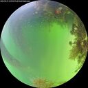 ./images/calvert/underwater/20260819/underwater20260819_135501M.jpg