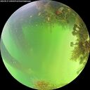 ./images/calvert/underwater/20260819/underwater20260819_140001M.jpg