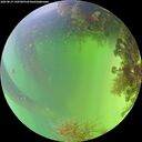 ./images/calvert/underwater/20260819/underwater20260819_140501M.jpg