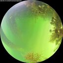 ./images/calvert/underwater/20260819/underwater20260819_141002M.jpg