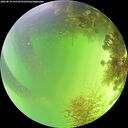 ./images/calvert/underwater/20260819/underwater20260819_141501M.jpg