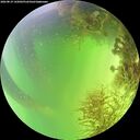 ./images/calvert/underwater/20260819/underwater20260819_142002M.jpg