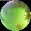 ./images/calvert/underwater/20260819/underwater20260819_142501M.jpg