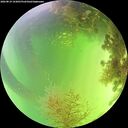 ./images/calvert/underwater/20260819/underwater20260819_143001M.jpg