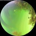 ./images/calvert/underwater/20260819/underwater20260819_143501M.jpg