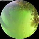 ./images/calvert/underwater/20260819/underwater20260819_144002M.jpg