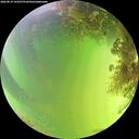 ./images/calvert/underwater/20260819/underwater20260819_144501M.jpg