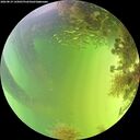 ./images/calvert/underwater/20260819/underwater20260819_145001M.jpg