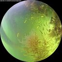 ./images/calvert/underwater/20260819/underwater20260819_150001M.jpg