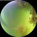 ./images/calvert/underwater/20260819/underwater20260819_150501M.jpg