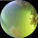 ./images/calvert/underwater/20260819/underwater20260819_151001M.jpg