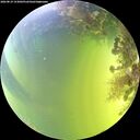 ./images/calvert/underwater/20260819/underwater20260819_153002M.jpg