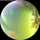 ./images/calvert/underwater/20260819/underwater20260819_154001M.jpg