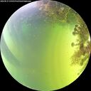 ./images/calvert/underwater/20260819/underwater20260819_154501M.jpg
