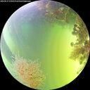 ./images/calvert/underwater/20260819/underwater20260819_155001M.jpg