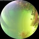 ./images/calvert/underwater/20260819/underwater20260819_155501M.jpg