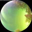 ./images/calvert/underwater/20260819/underwater20260819_160002M.jpg