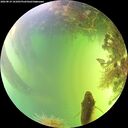 ./images/calvert/underwater/20260819/underwater20260819_161001M.jpg