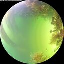 ./images/calvert/underwater/20260819/underwater20260819_161501M.jpg
