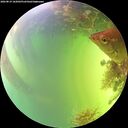 ./images/calvert/underwater/20260819/underwater20260819_162002M.jpg
