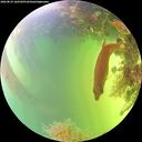 ./images/calvert/underwater/20260819/underwater20260819_162501M.jpg