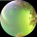 ./images/calvert/underwater/20260819/underwater20260819_163001M.jpg