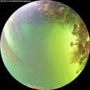 ./images/calvert/underwater/20260819/underwater20260819_163501M.jpg