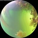 ./images/calvert/underwater/20260819/underwater20260819_164002M.jpg