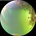 ./images/calvert/underwater/20260819/underwater20260819_164501M.jpg