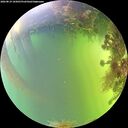 ./images/calvert/underwater/20260819/underwater20260819_165001M.jpg