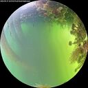 ./images/calvert/underwater/20260819/underwater20260819_165501M.jpg