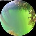 ./images/calvert/underwater/20260819/underwater20260819_170501M.jpg