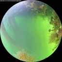 ./images/calvert/underwater/20260819/underwater20260819_171501M.jpg