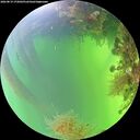 ./images/calvert/underwater/20260819/underwater20260819_172001M.jpg