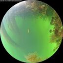 ./images/calvert/underwater/20260819/underwater20260819_175001M.jpg